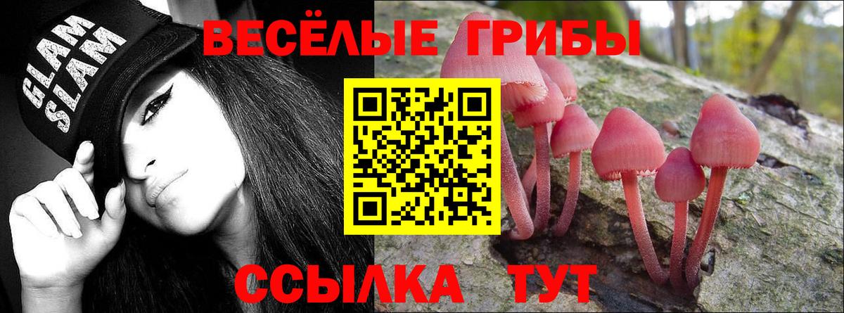 Псилоцибиновые грибы ЛСД Дзержинск