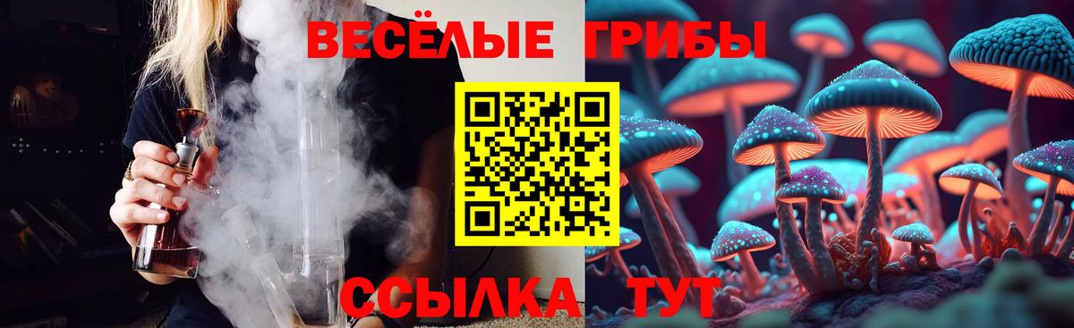 продажа наркотиков  Псилоцибиновые грибы MAGIC MUSHROOMS  Вход с VPN  Дзержинск 